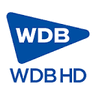 ＷＤＢホールディングスのロゴ